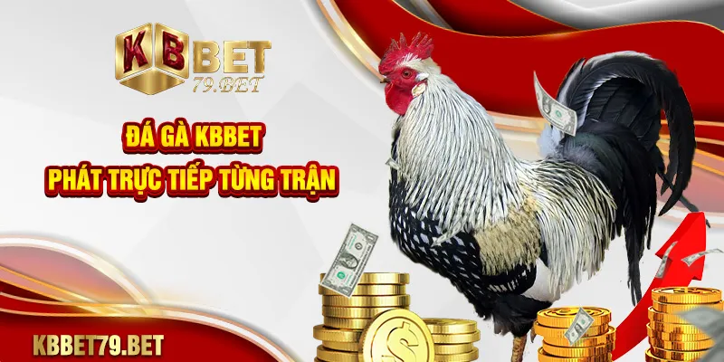 Đá gà KBBET phát trực tiếp từng trận